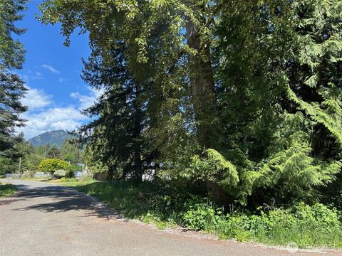 Photo of 201 Morgan Lane, Brinnon, WA 98320 (MLS # 2528912)