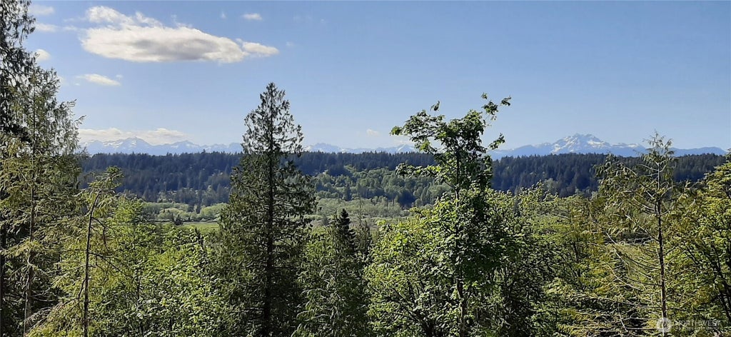 Photo of 200 NE WJ Way, Belfair, WA 98528 (MLS # 2521321)