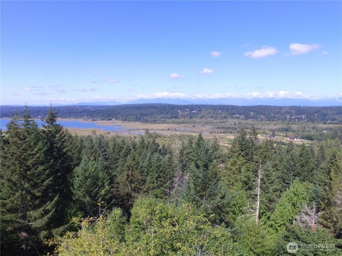 Photo of 200 NE WJ Way, Belfair, WA 98528 (MLS # 2521321)