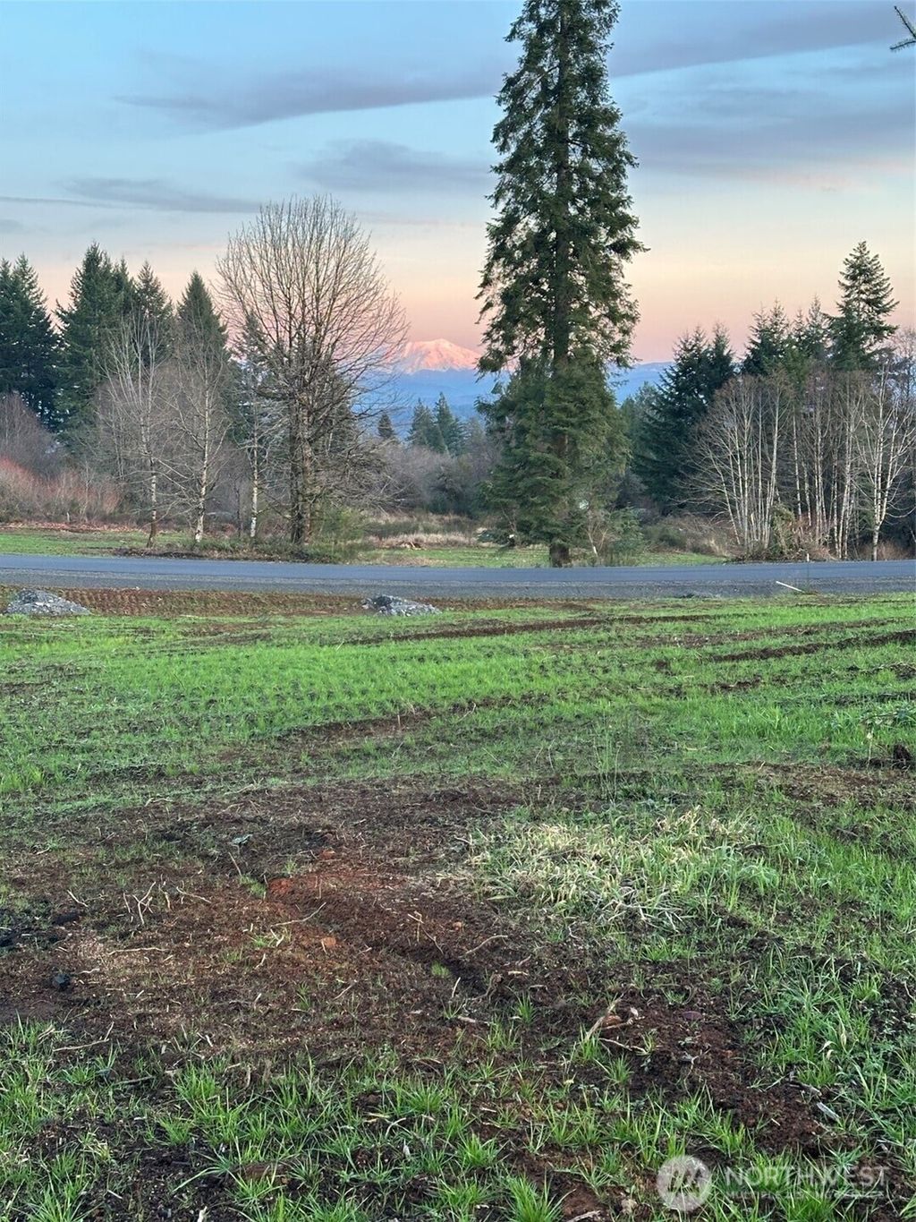 Photo of 236 Suncrest Drive, Castle Rock, WA 98611 (MLS # 2468272)