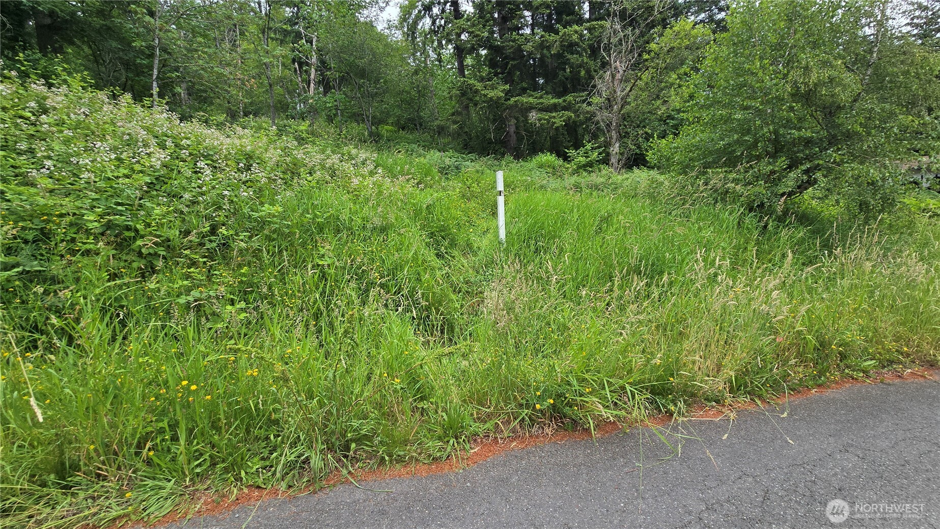 27339 SE 403rd (Lots 39,47,48,49) Street