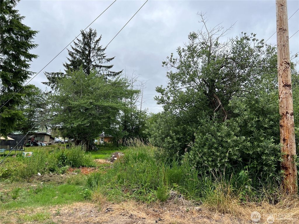Photo of 0 X Eight Street, Raymond, WA 98577 (MLS # 2493639)