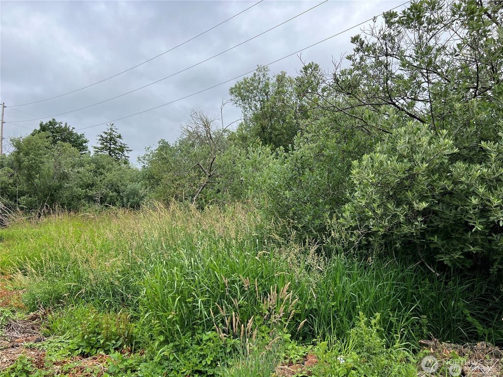 Photo of 0 X Eight Street, Raymond, WA 98577 (MLS # 2493639)