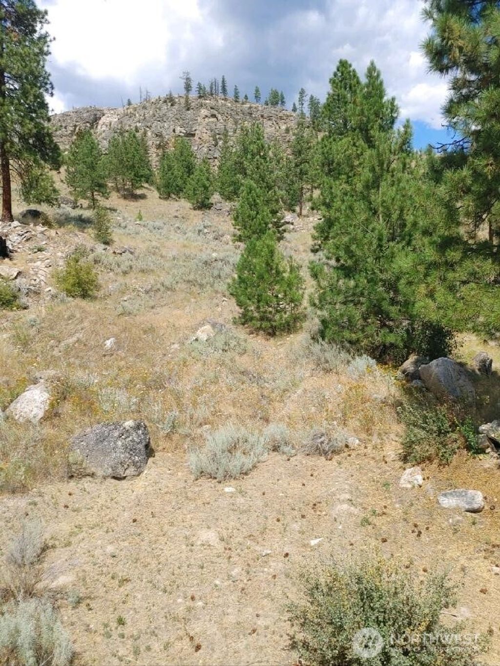 Photo of 83 E Cayuse Mountain Road, Tonasket, WA 98855 (MLS # 2482930)