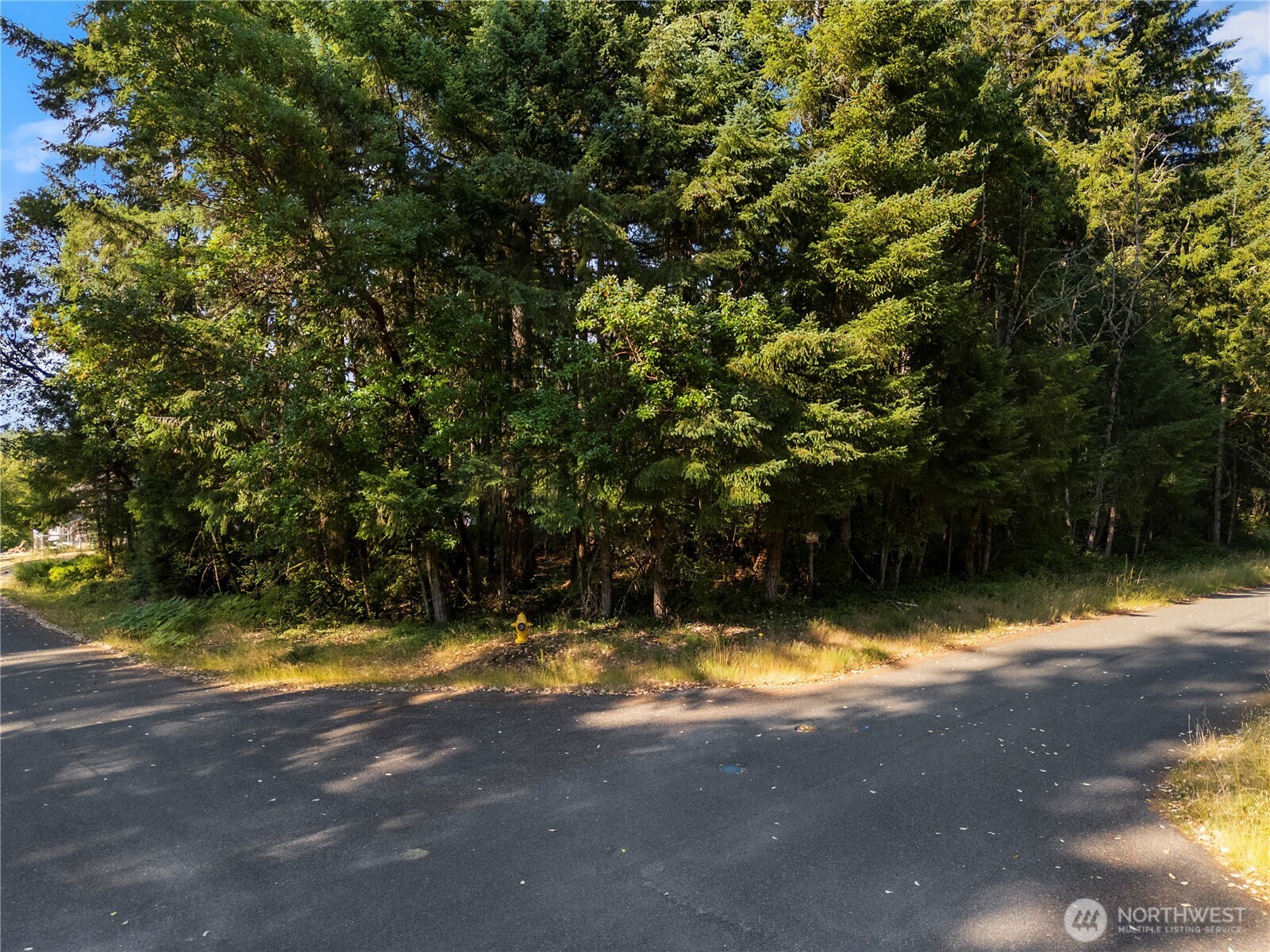 10519 Suncrest Drive