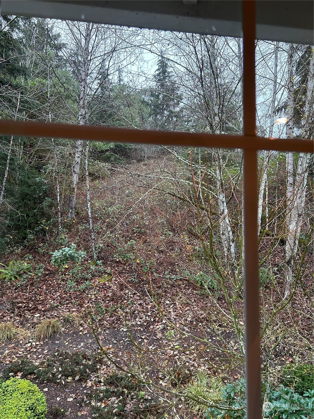 Photo of 12198 NE 24th Street, Bellevue, WA 98005 (MLS # 2323954)