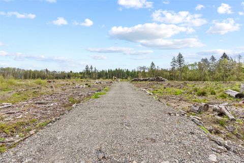 Photo of 4949 Jackson Highway N, Toledo, WA 98591 (MLS # 2537703)