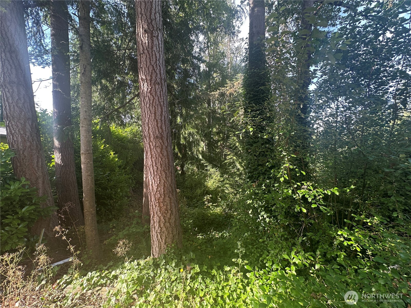 0 Lake Drive