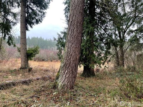 Photo of 17616 Vine Lane NE, Yelm, WA 98597 (MLS # 2412034)