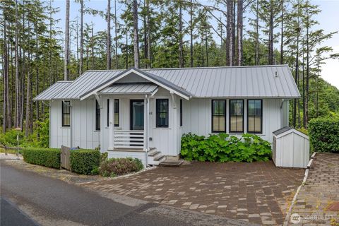 46 Seaside Lane Pacific Beach WA 98571