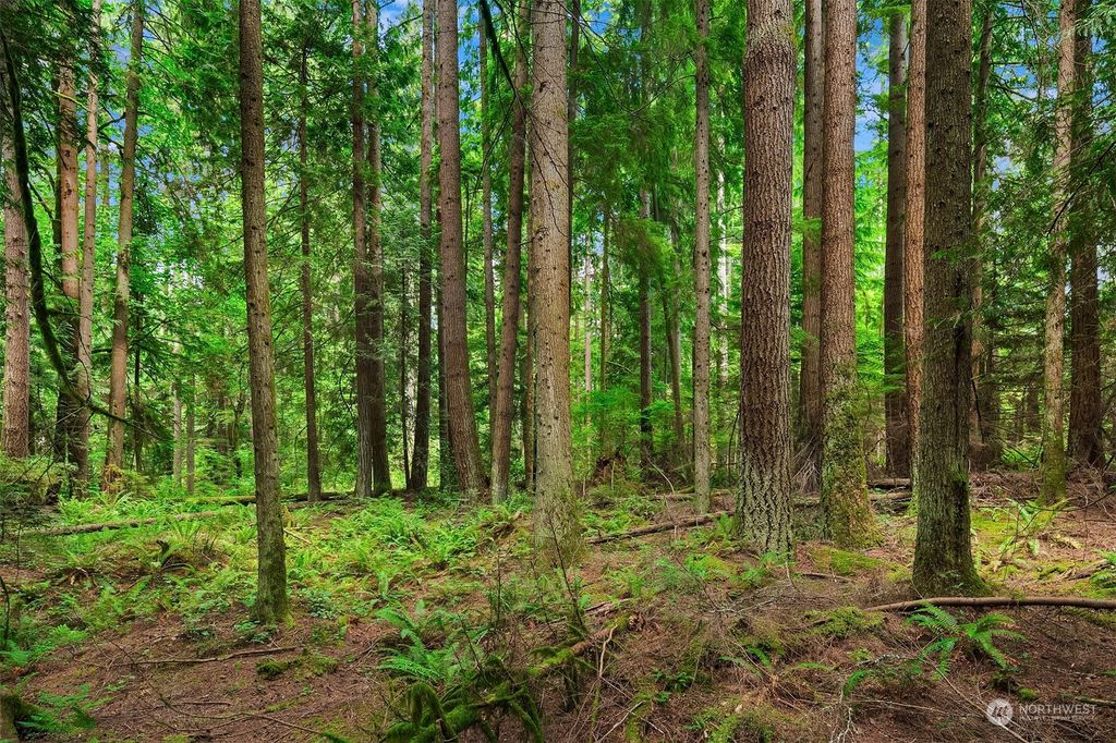 Photo of 141 XX 292nd Avenue NE, Duvall, WA 98019 (MLS # 2269394)