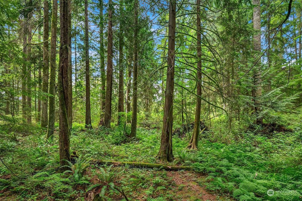 Photo of 141 XX 292nd Avenue NE, Duvall, WA 98019 (MLS # 2269394)