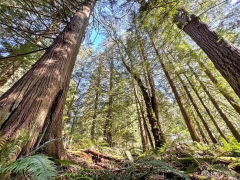 Photo of 30 Little Strawberry Lane, Bellingham, WA 98229 (MLS # 2374602)