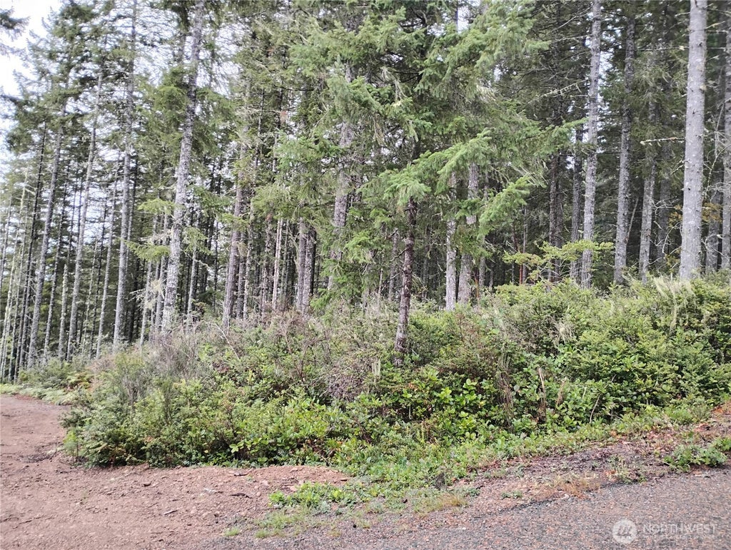 Photo of 240 NE Cedar Lane, Tahuya, WA 98588 (MLS # 2587595)