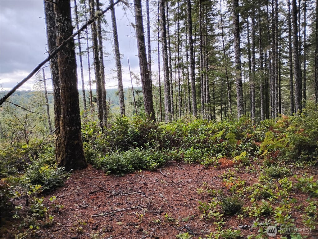 Photo of 240 NE Cedar Lane, Tahuya, WA 98588 (MLS # 2587595)