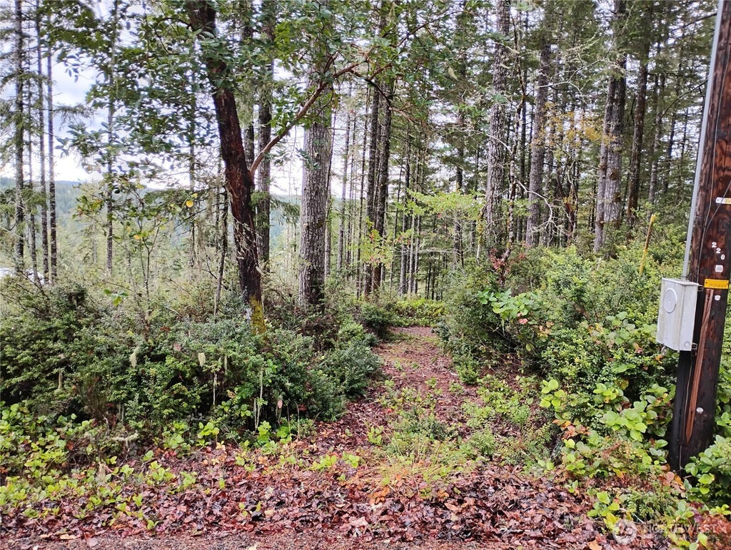 Photo of 240 NE Cedar Lane, Tahuya, WA 98588 (MLS # 2587595)