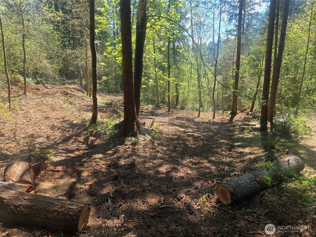 Photo of 22439 Vale Court SE, Yelm, WA 98597 (MLS # 2526796)