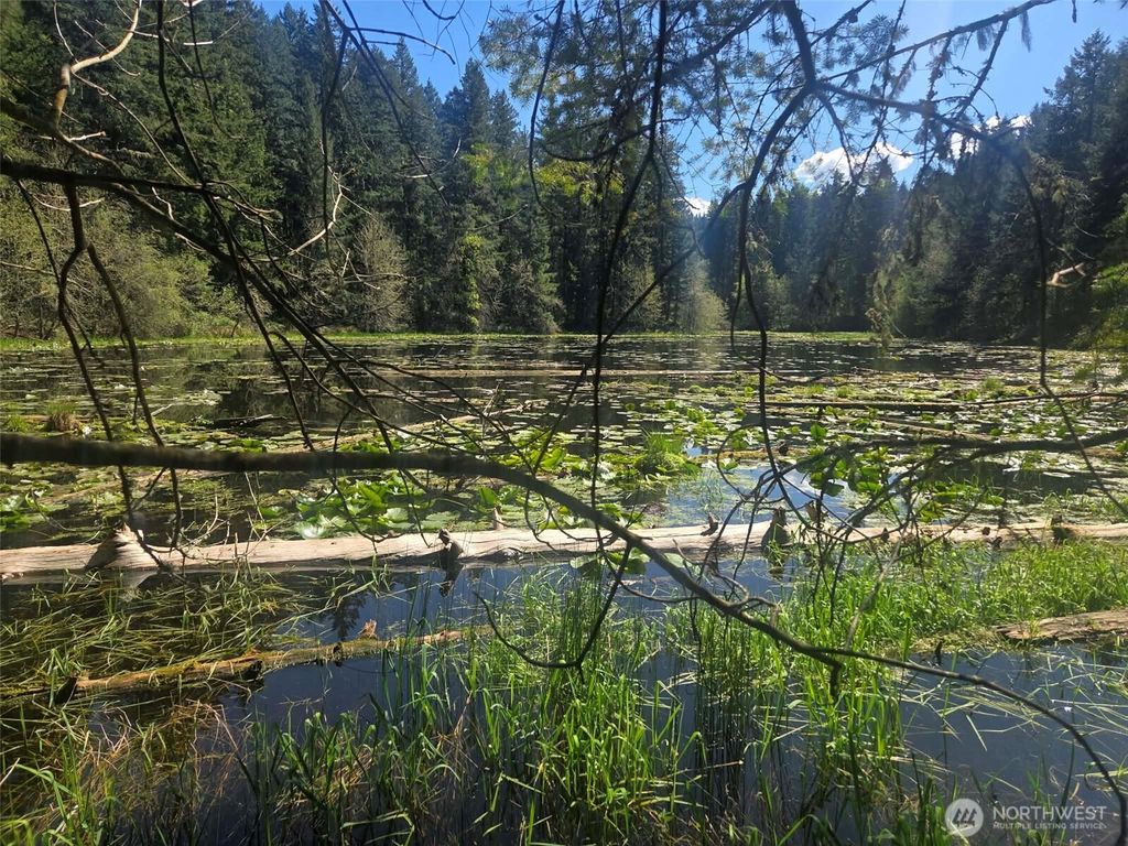 Photo of 22439 Vale Court SE, Yelm, WA 98597 (MLS # 2526796)