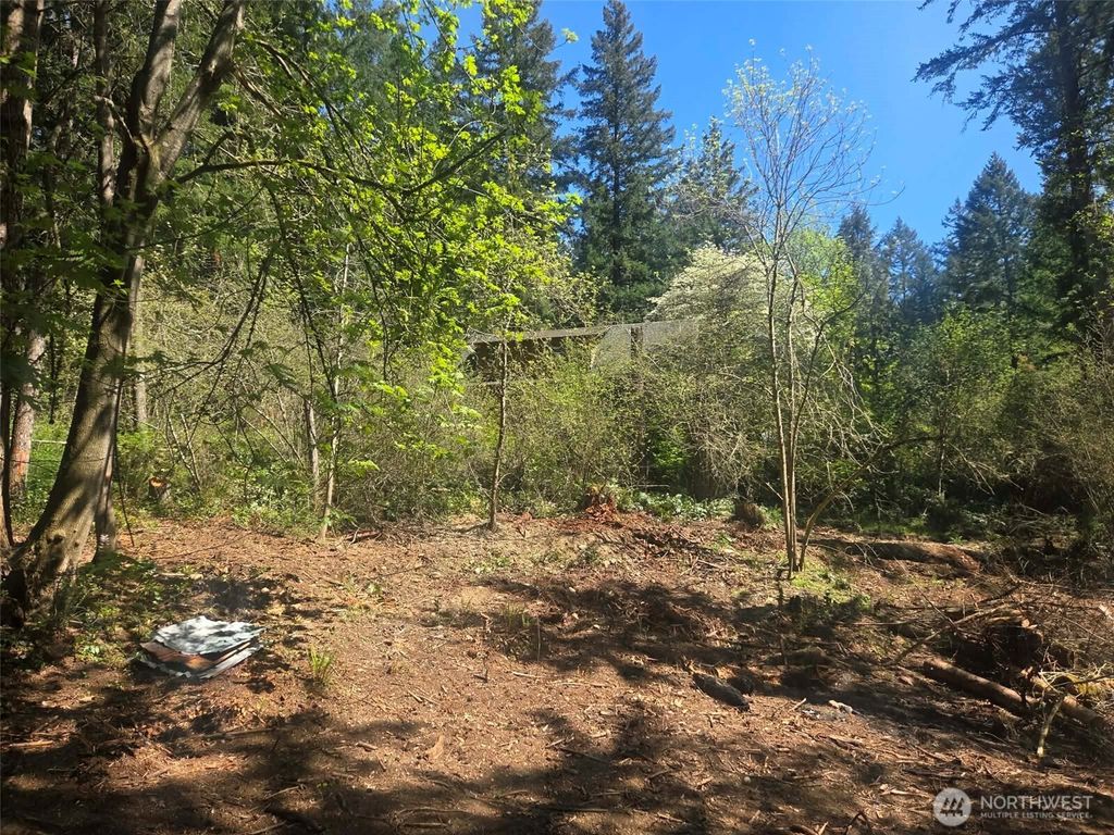 Photo of 22439 Vale Court SE, Yelm, WA 98597 (MLS # 2526796)