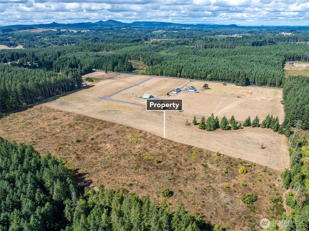 Photo of 0 Mcglaughlin Road #5, Winlock, WA 98596 (MLS # 2573534)