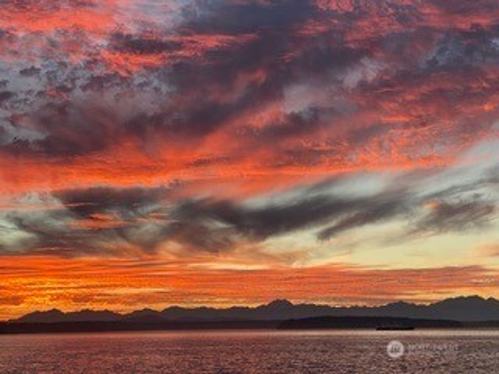 Photo of 10203 47th Avenue SW #C8, Seattle, WA 98146 (MLS # 2504972)