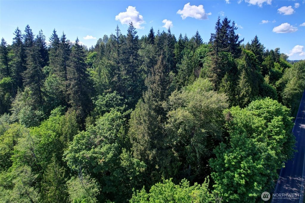 Photo of 25600 Old 99 N, Arlington, WA 98223 (MLS # 2382916)