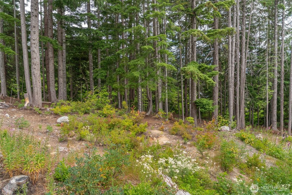 Photo of 14 Arlberg Place, Snoqualmie Pass, WA 98068 (MLS # 2411915)