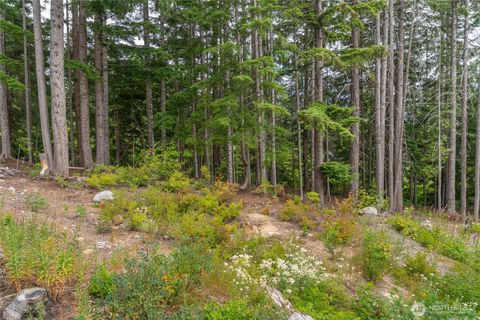 14 Arlberg Place Snoqualmie Pass WA 98068