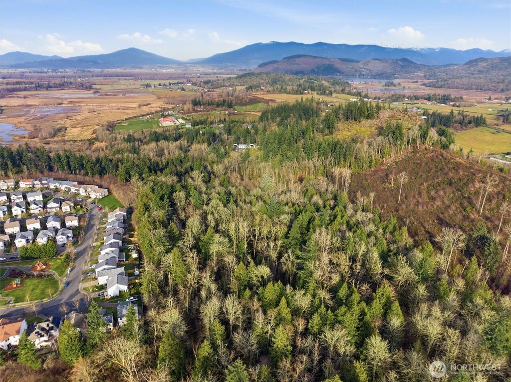 Photo of 14804 State Route 9, Mount Vernon, WA 98273 (MLS # 2470834)