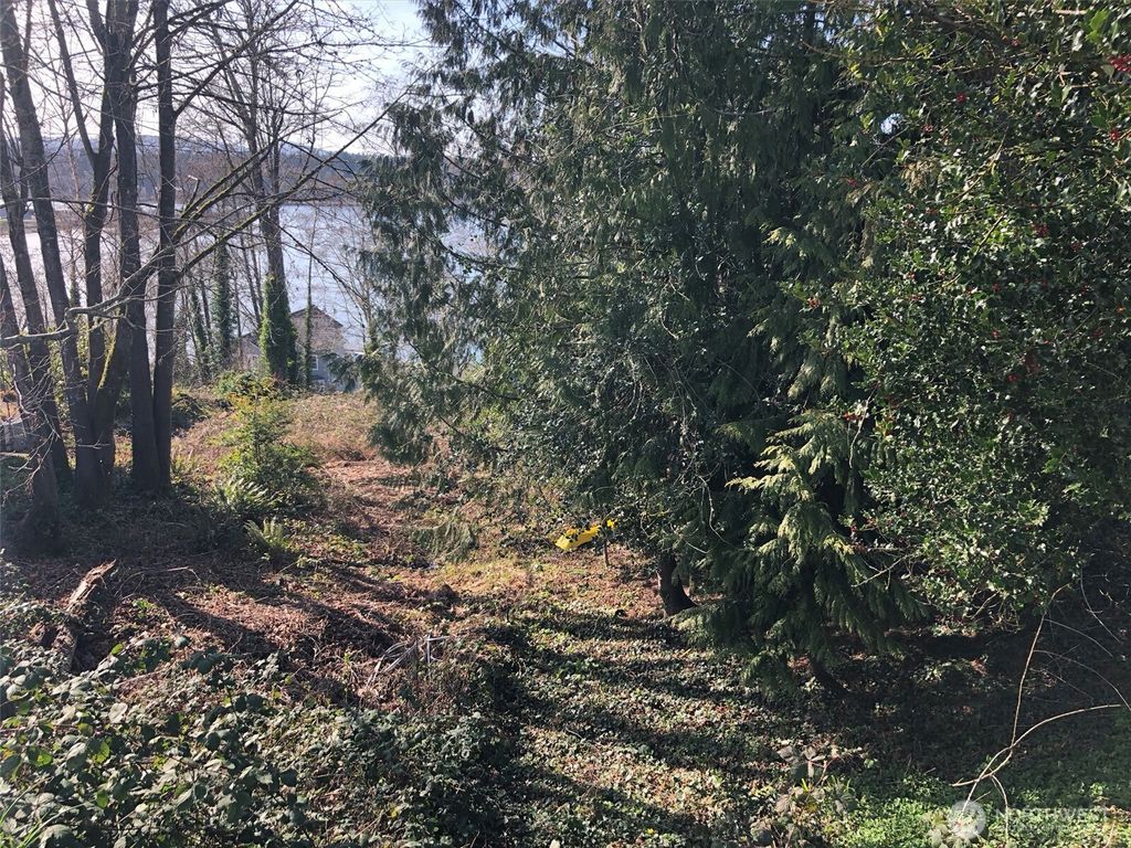 Photo of 1919 Berry Street NE, Olympia, WA 98506 (MLS # 2495277)