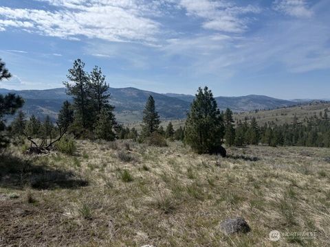 123 W Cayuse Mtn rd Tonasket WA 98855
