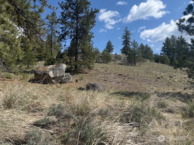 123 W Cayuse Mtn rd