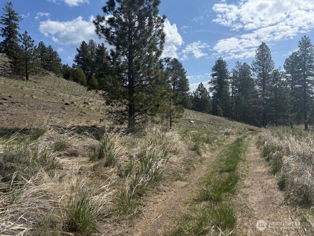 123 W Cayuse Mtn rd