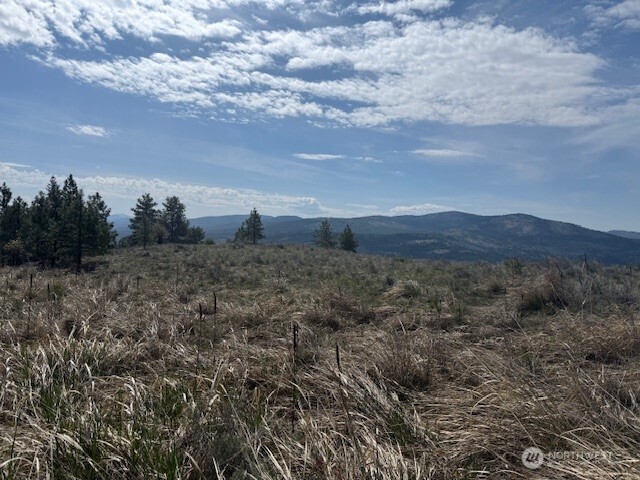 123 W Cayuse Mtn rd