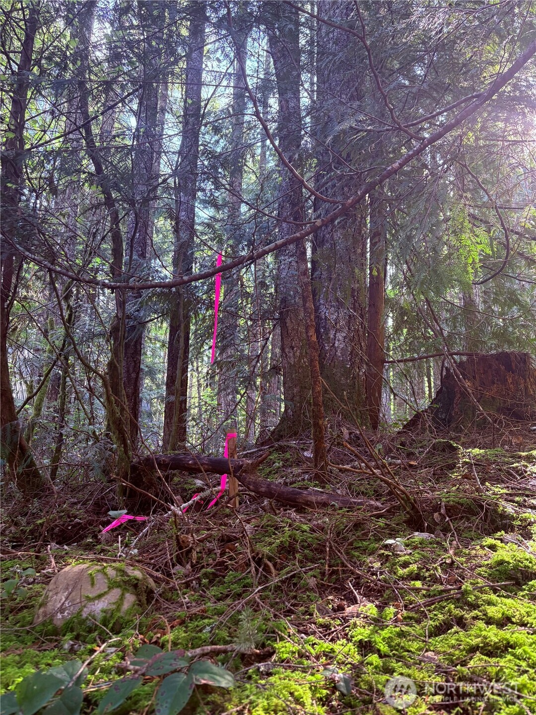 30 N Skokomish Drive