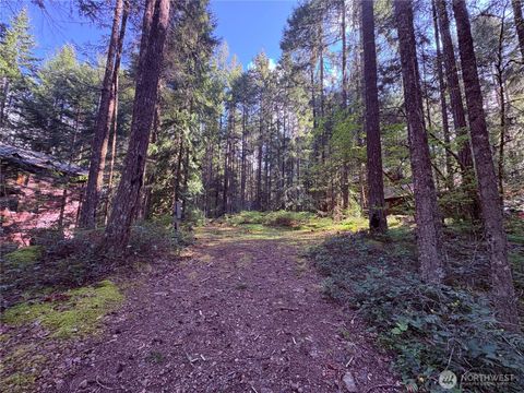 30 N Skokomish Drive Hoodsport WA 98548