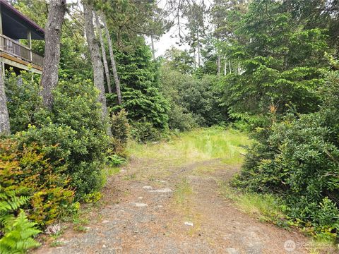 Photo of 30808 J Place, Ocean Park, WA 98640 (MLS # 2528790)
