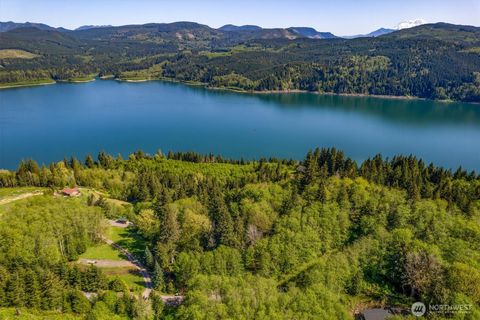 267 Alta Vista Drive Mossyrock WA 98564