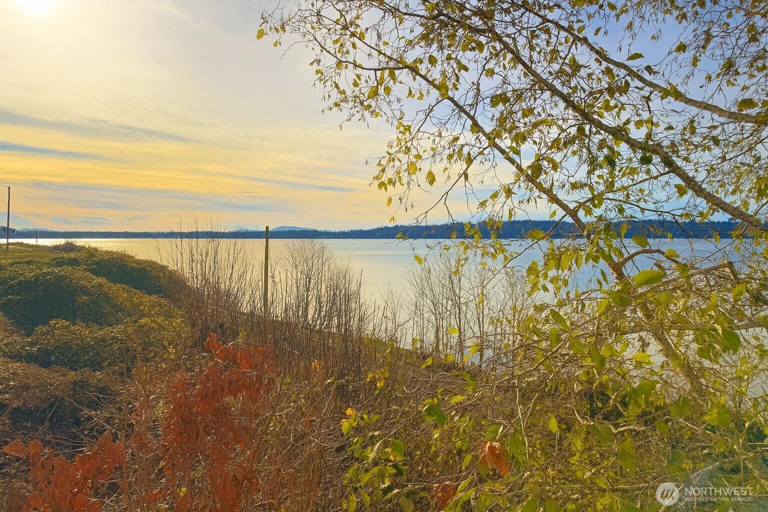 1091 Peace Portal Drive 1