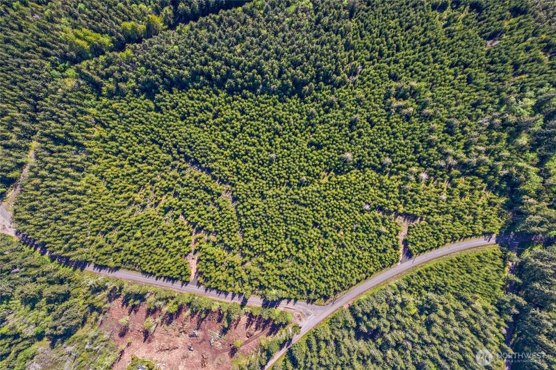 0 W Lost Lake Lot 4 Road