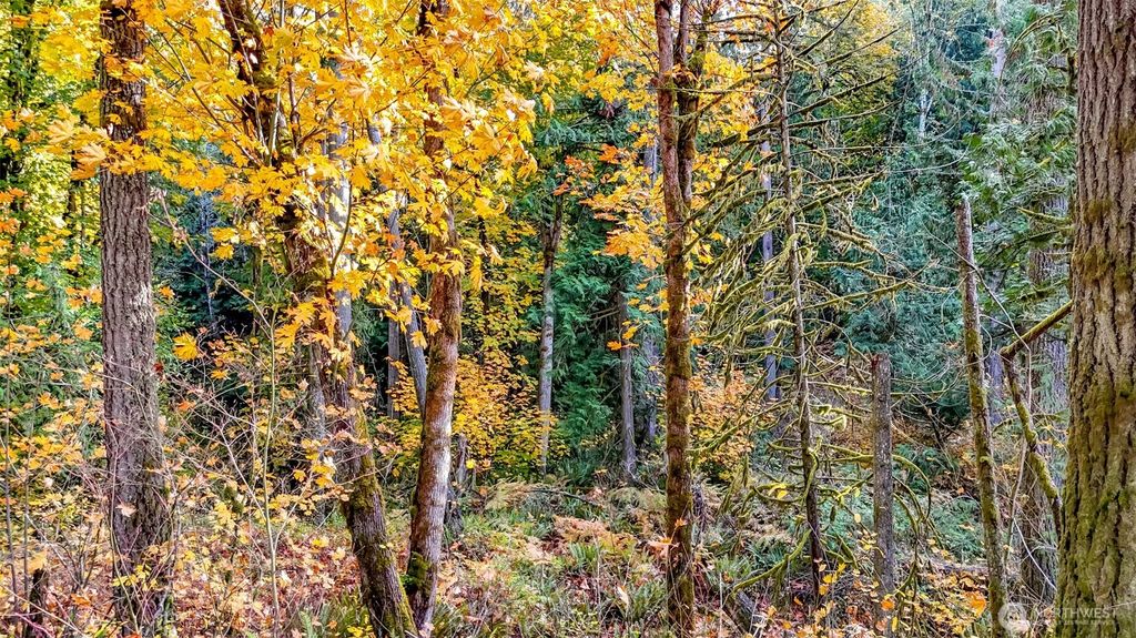 Photo of 18313 Patterson Road E, Orting, WA 98360 (MLS # 2448236)