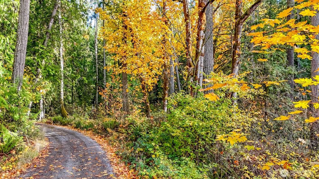 Photo of 18313 Patterson Road E, Orting, WA 98360 (MLS # 2448236)