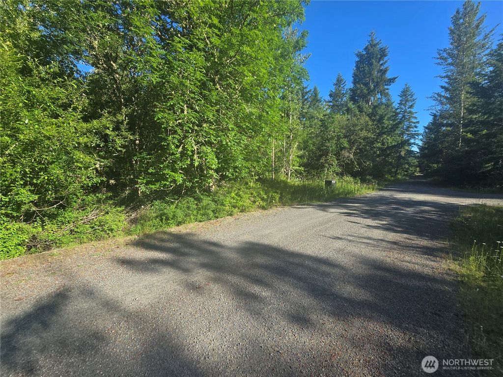 Photo of 13823 Starflower Lane SE, Yelm, WA 98597 (MLS # 2540301)