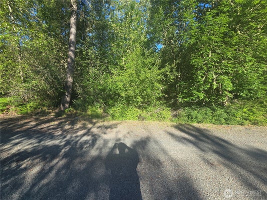 13823 STARFLOWER LN SE, YELM, WA 98597 - Image 8d00a11ef9a01e7c812aa366a8207562/3193449365