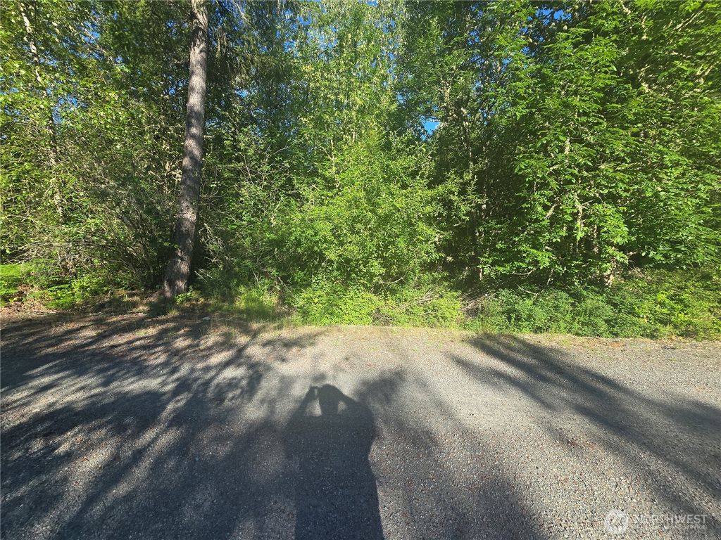 Photo of 13823 Starflower Lane SE, Yelm, WA 98597 (MLS # 2540301)