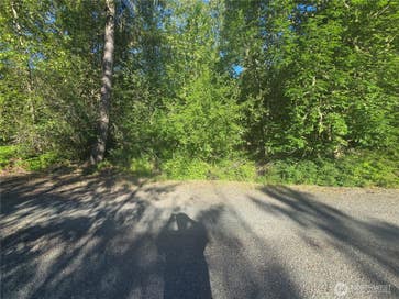 13823 Starflower Lane SE Yelm WA 98597