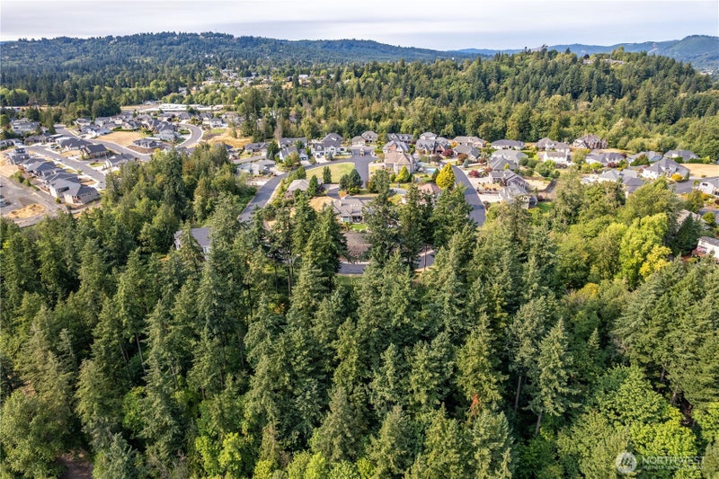12 Forest Hill Estate Drive