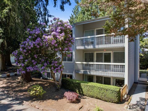 Photo of 3510 W Elmore Street, Seattle, WA 98199 (MLS # 2537323)