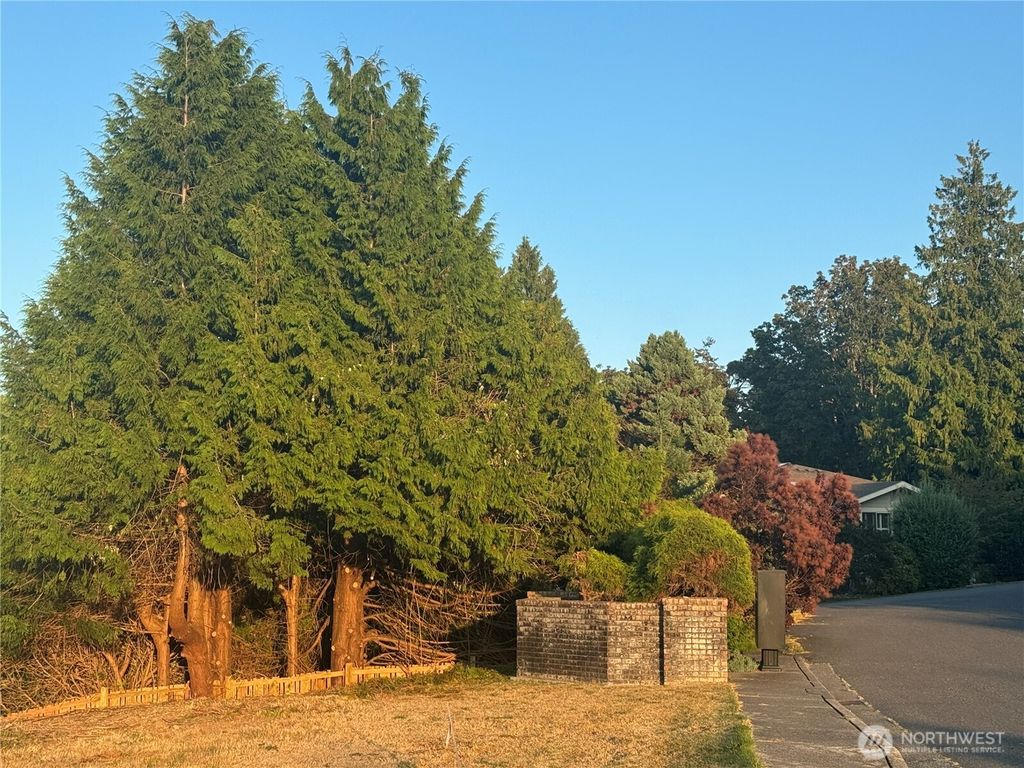 Photo of 0 15 Whalen Drive, Point Roberts, WA 98281 (MLS # 2475018)