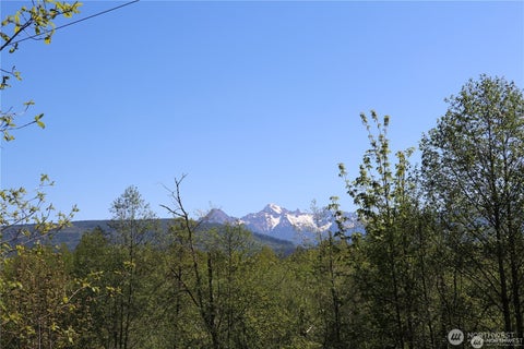 Photo of 0 XX Valley Hwy 9, Acme, WA 98220 (MLS # 2582893)